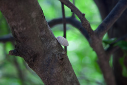 20090105-IMG_7481.CR2