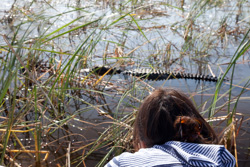 Florida