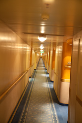 20090103-IMG_7314.CR2