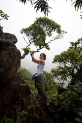 Volcanoe Hike