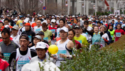 20090322-IMG_1442.CR2