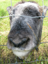 20080825-IMG_0174.JPG