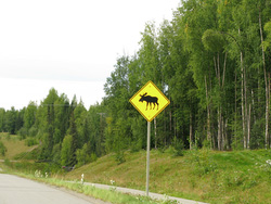 20080825-IMG_0178.JPG