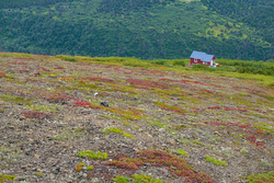 Around Anchorage