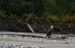 20080826-IMG_6311.CR2