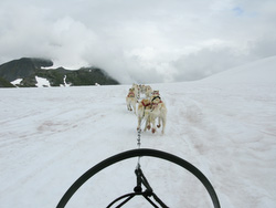 20080829-IMG_0445.JPG