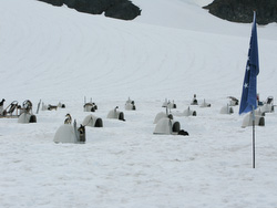 20080829-IMG_0460.JPG