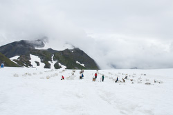 20080829-IMG_6791.CR2