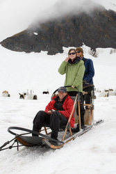 Dog Sledding