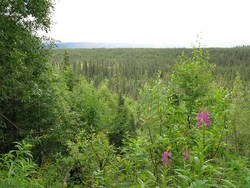 20080826-IMG_0309.JPG