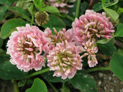 20080826-IMG_0318.JPG