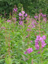 20080826-IMG_0327.JPG