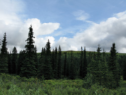 20080826-IMG_0330.JPG