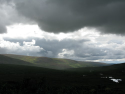 20080826-IMG_0351.JPG