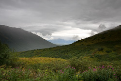 20080826-IMG_6483.CR2