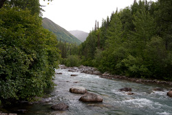 20080826-IMG_6494.CR2