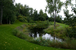 20080903-IMG_8626.CR2