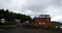 20080903-IMG_8644.CR2