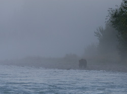 20080830-IMG_7819.CR2