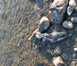 20080831-IMG_0579.JPG