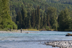 20080831-IMG_7863.CR2
