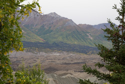 20080904-IMG_9142.CR2