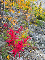 20080905-IMG_0780.JPG