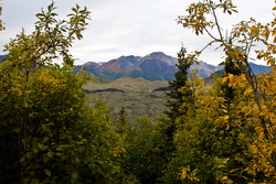 20080905-IMG_9278.CR2