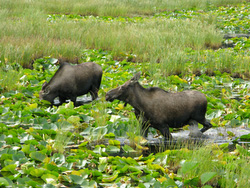 20080829-IMG_0466.JPG