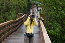 Potter Marsh - Sea Life Center