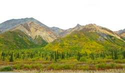 20080904-IMG_0712.JPG