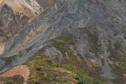 20080904-IMG_8682.CR2