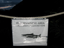 20080906-IMG_1010.JPG
