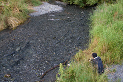 20080906-IMG_9988.CR2