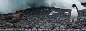 Antarctica 2010