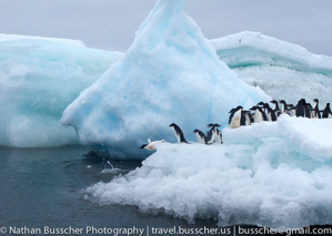 Antarctica 2010