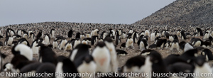 Antarctica 2010