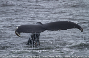 Antarctica 2010