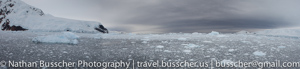 Antarctica 2010