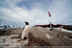 Antarctica Holiday 2010