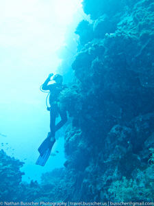 Great Barrier Reef