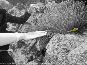 Great Barrier Reef