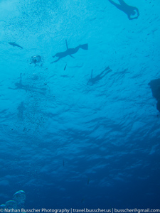 Great Barrier Reef