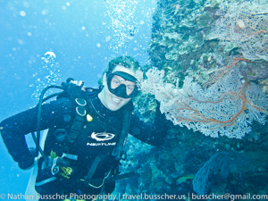 Great Barrier Reef