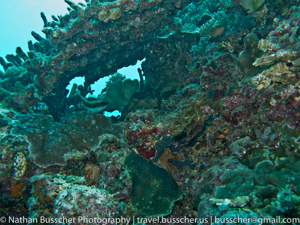 Great Barrier Reef