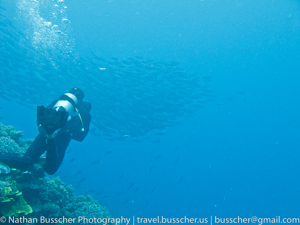 Great Barrier Reef
