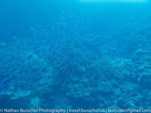 Great Barrier Reef