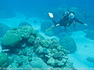 Great Barrier Reef