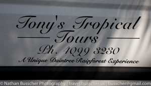 Out and About - Port Douglas