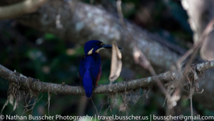 Out and About - Port Douglas